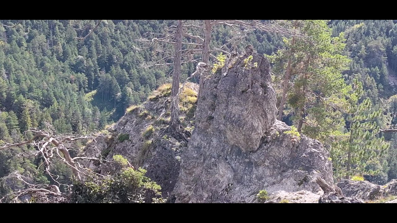 Rossstall Runde 2025-09-15