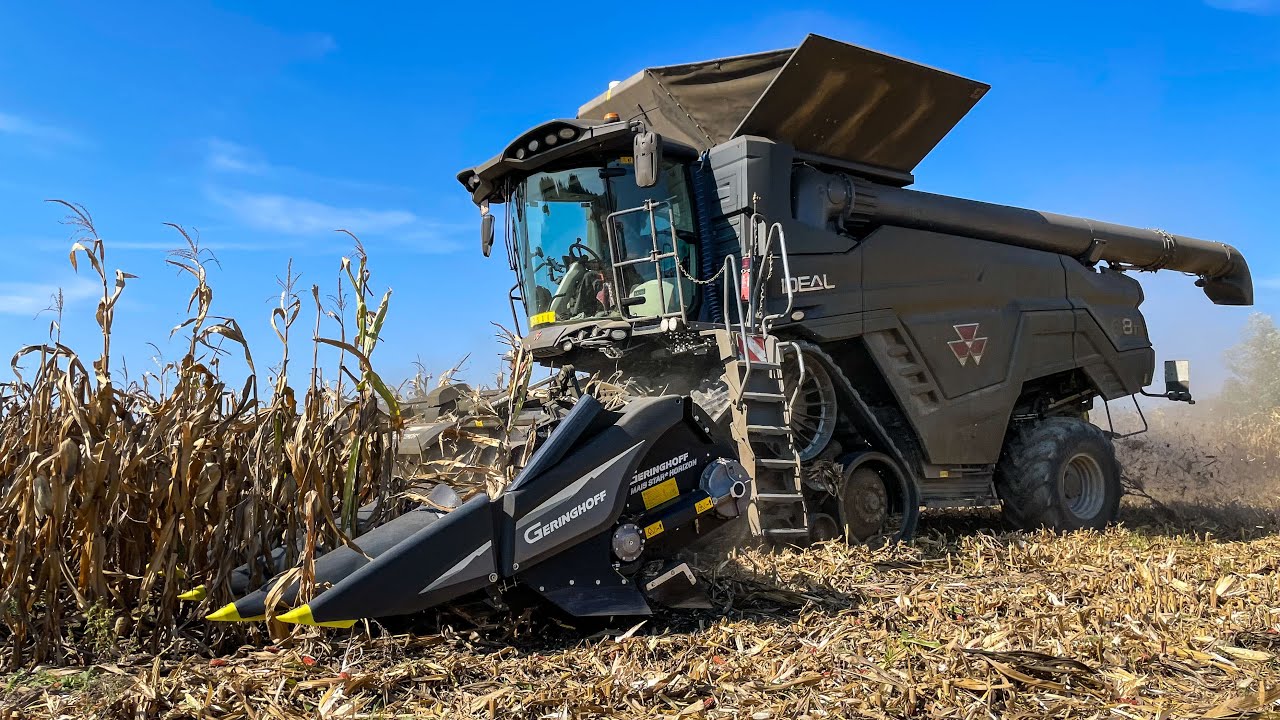 Geringhoff Mais Star Horizon 10 Row black corn head with MF Ideal 8T, corn harvesting, 2021, Hungary