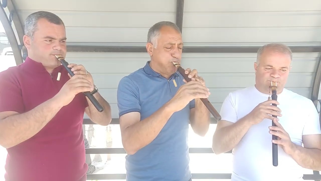 12 июля 2023 г.
