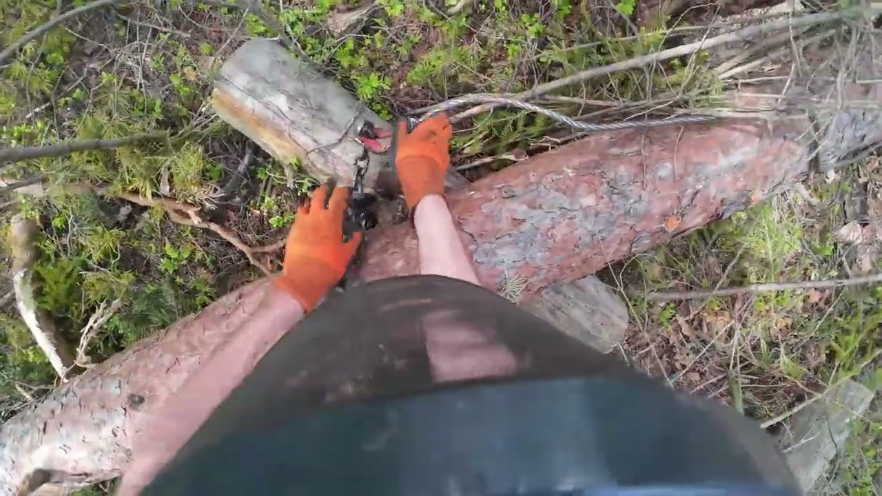 Heut musste ich noch ein paar Bäume schneiden und mit Valtra + hydraulischen Frontwinde gerückt