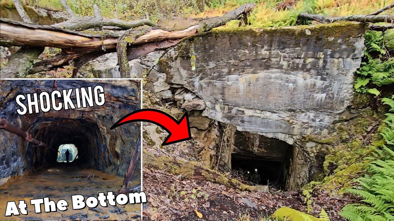 Gigantic Entrance in the Woods Drops You Into Something EPIC