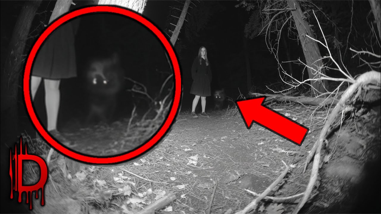 50+ SCARIEST Hiking Trips That Ended DEADLY
