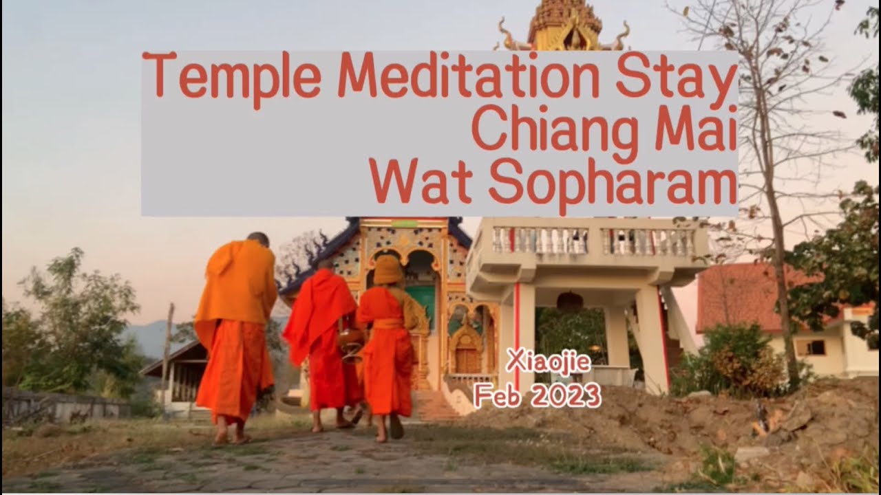 Temple Vipassana Meditation Stay, ChiangMai, Thailand 2023