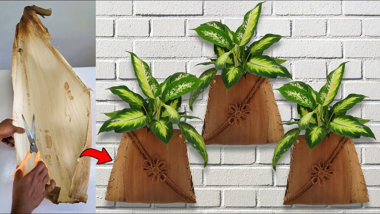 Amazing Wall Hanging Plants Ideas / Diy Flower Pot Ideas