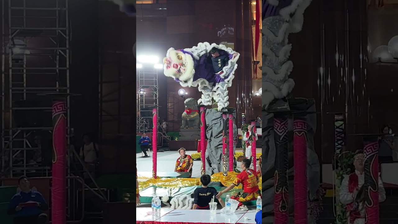 Fall and Rise - Lion Dance