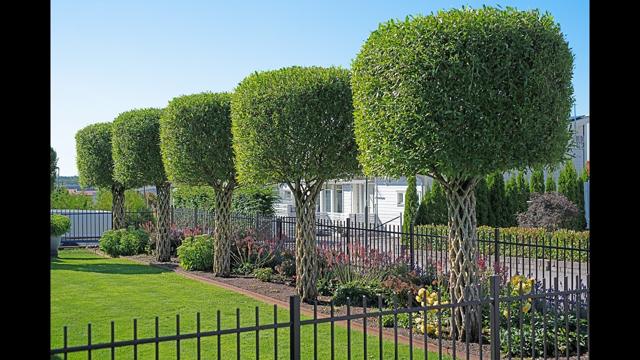 Den smukkeste haveløsning med Sif pileskulpturer