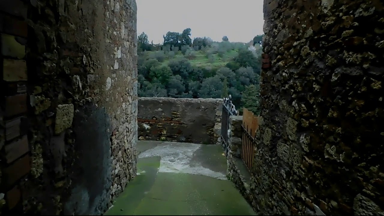 Bibbona