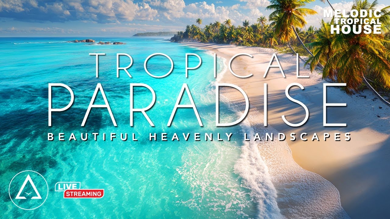 24/7 LIVE Tropical Paradise | Aruba, Bahamas, Saint Martin, Mexico with Tropical House Vibes