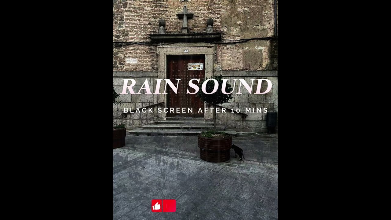 Exploring Alhambra with a Cat in the Rain | Calming Rain ASMR from Granada