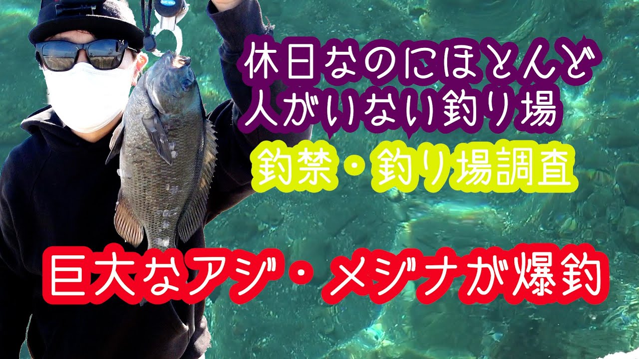 釣り禁・釣り場調査　内房編　PART１　坂田港・見物堤防・館山夕日桟橋