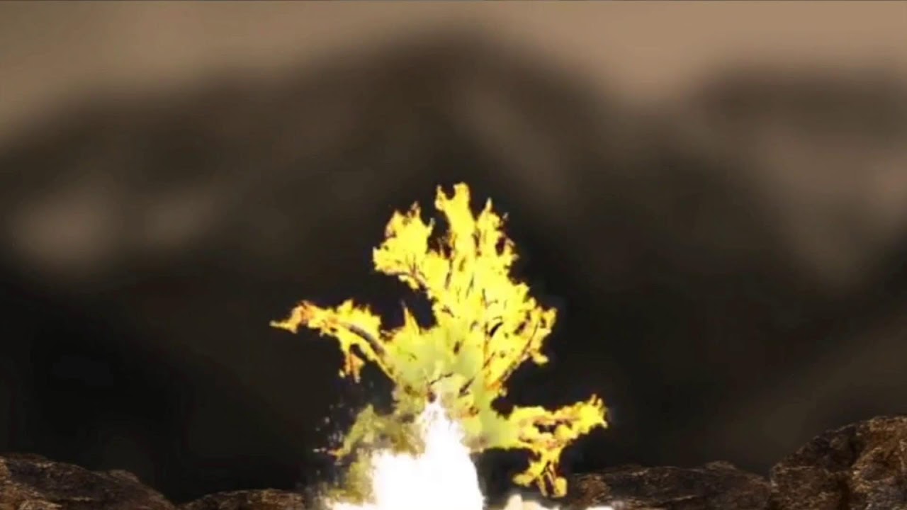 Fire Anointed Fasting Wednesday 18/03/2026