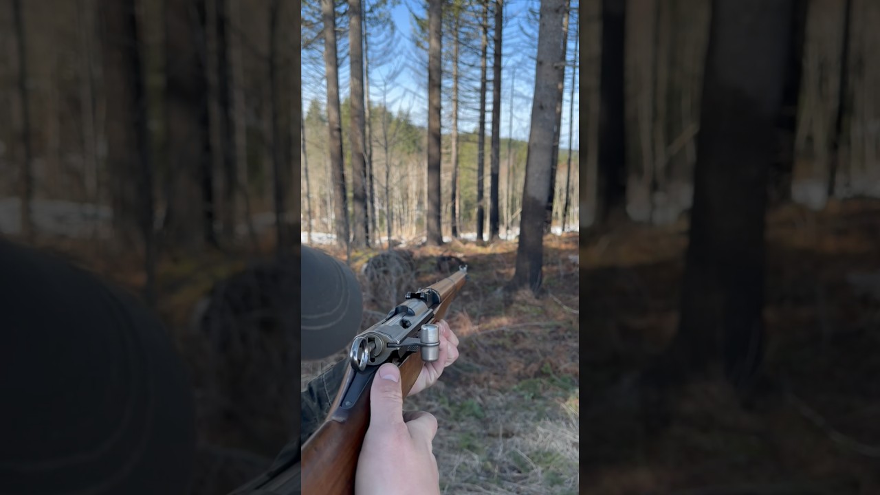Shooting the Swiss K31 #shorts