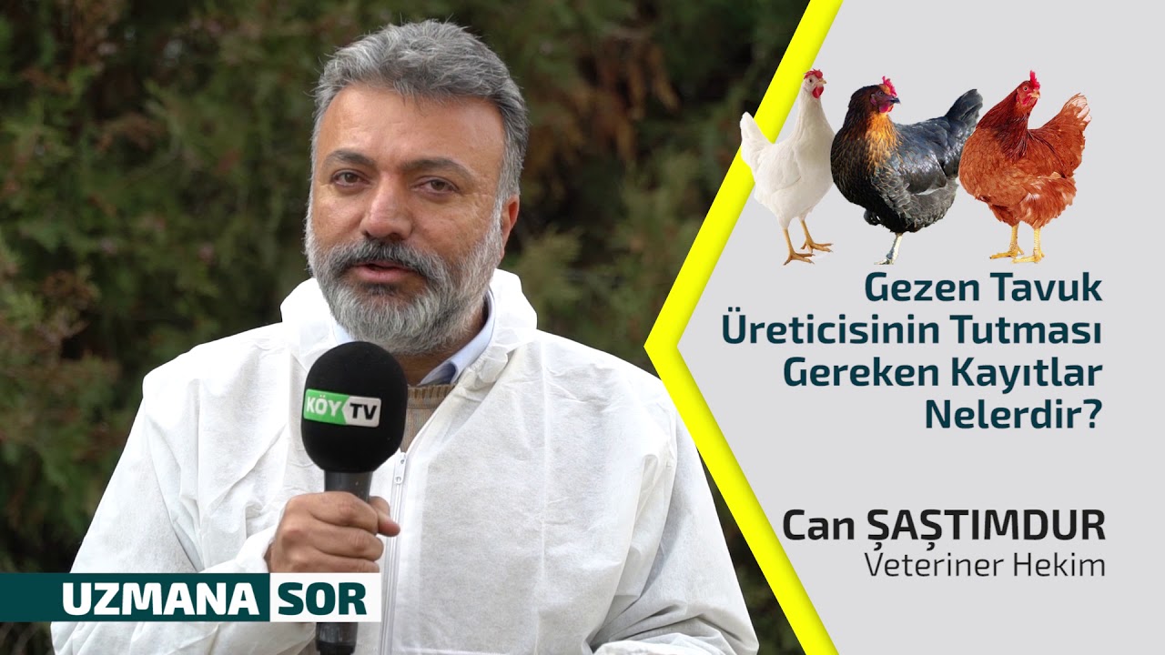 Gezen Tavuk Yetiştiriciliğinde Kayıt Tutmanın Önemi
