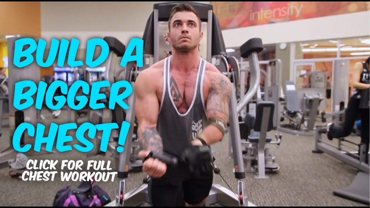 Build A Bigger Chest | Get Bigger Shoulders | Full Workout