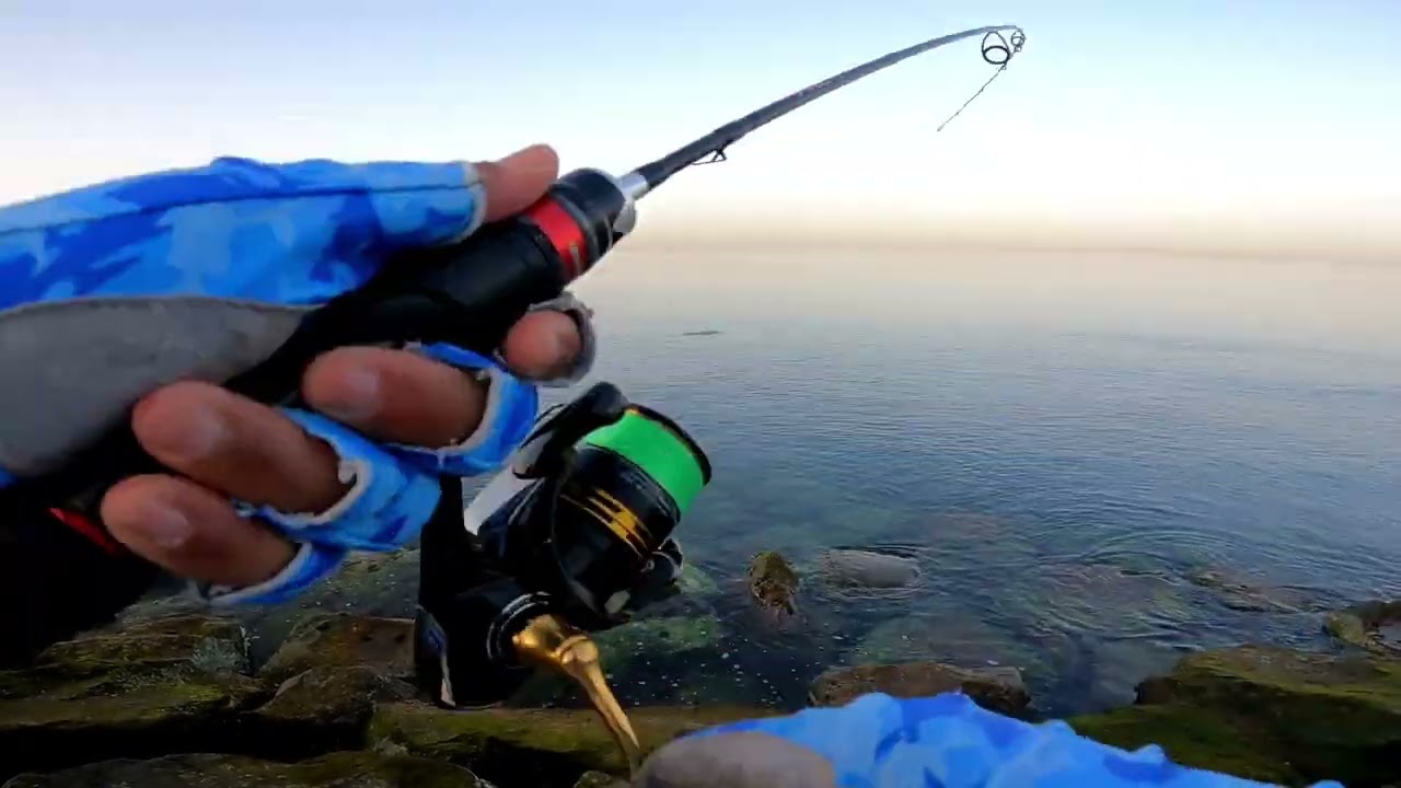 Short shore jigging session