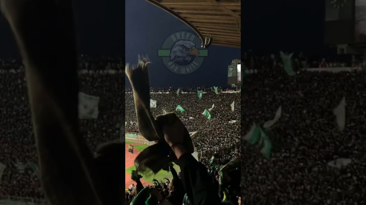 Zadmin-Curva Sud Casablanca (#raja vs # #curvasud #sccm) #dimaraja #botola #morocco