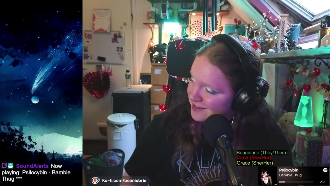 Beaniebrie 250 Follower Celebration! (12/2/2026)