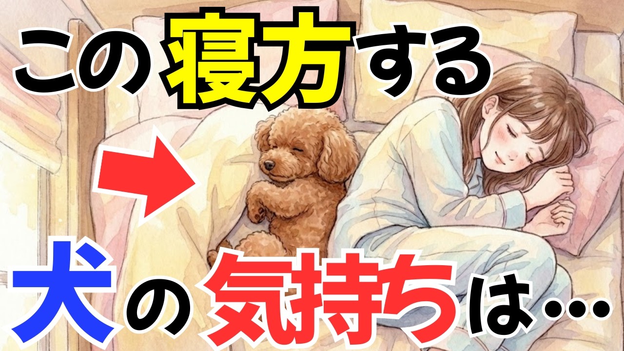【寝相診断!?】丸まる？足ピーン？愛犬の寝相でわかる「性格」と「隠された心理１４選｜犬の行動