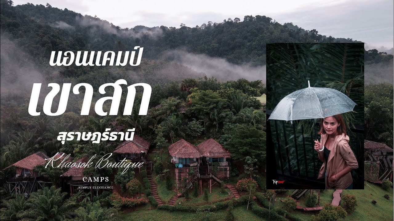 นอนแคมป์ ที่เขาสกบูติกแคมป์ สุราษฎร์ธานี (นอนฟังเสียงป่า ชมหมอก สุดฟิน)