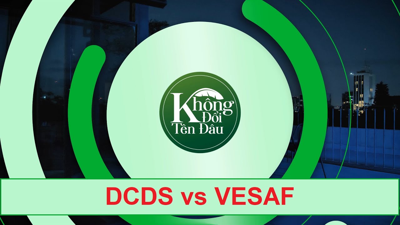 DCDS hay VESAF - So găng 02 quỹ chất nhất của Dragon v&agrave; Vina