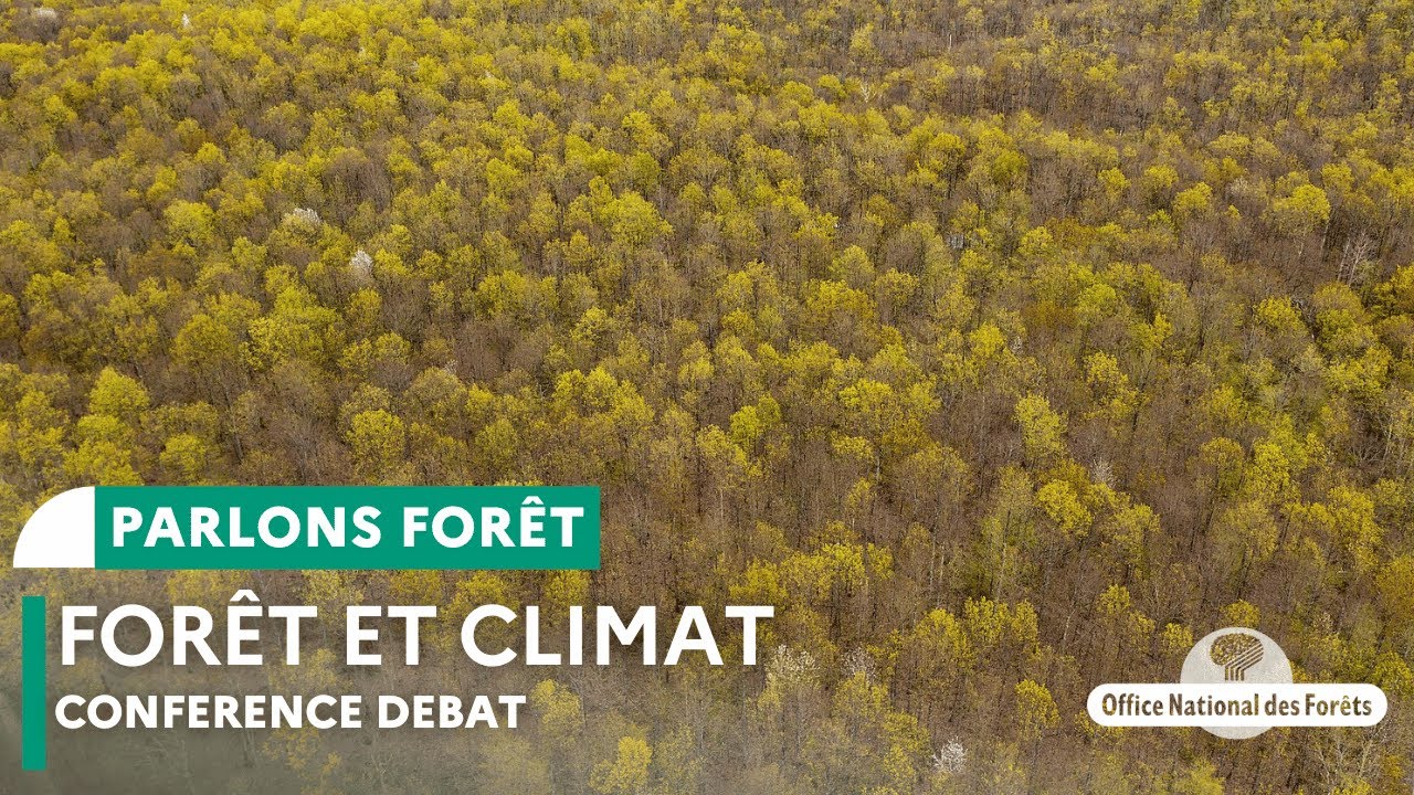 Conférence-débat: forêts et climat