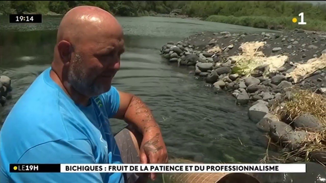 Bichik la monté !