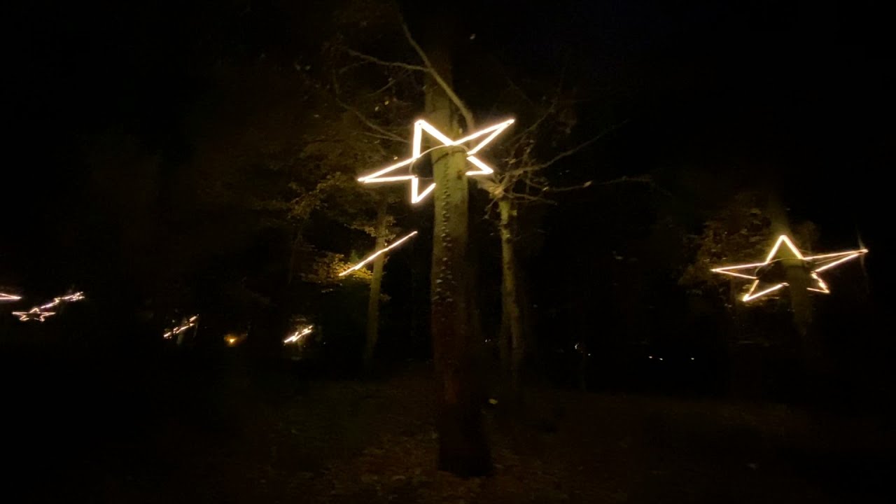 Frankfurt Christmas Garden Lights