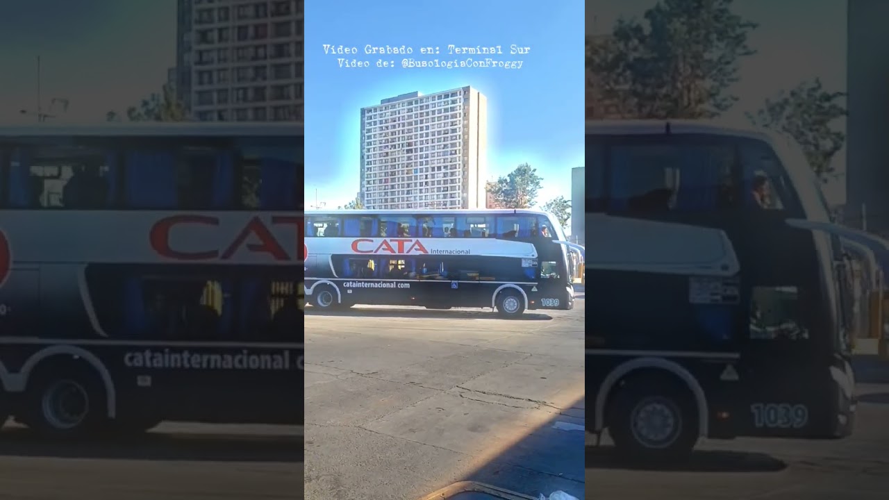 Metalsur Starbus 3 - [Cata Internacional] [Terminal sur] [Terminal Internacional]