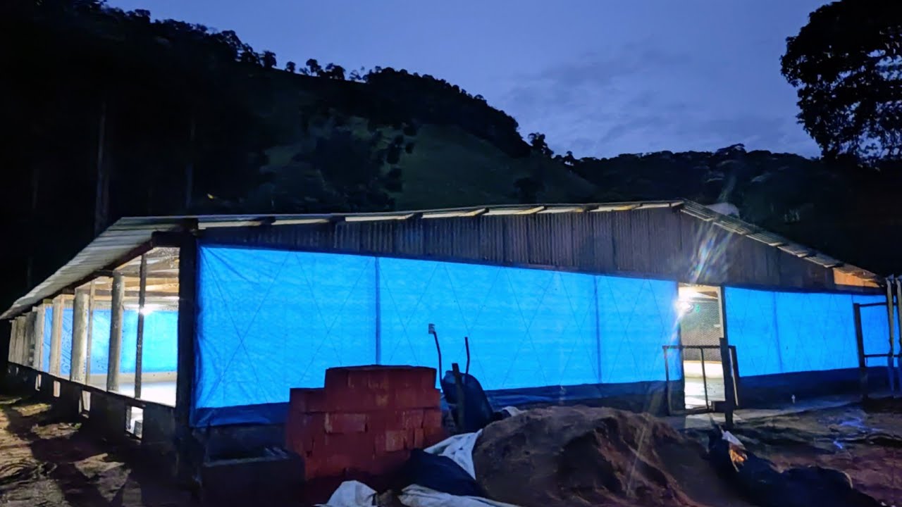 Finalizando os últimos detalhes para a chegada das 1700 pintainhas! 🤠🐥🐥