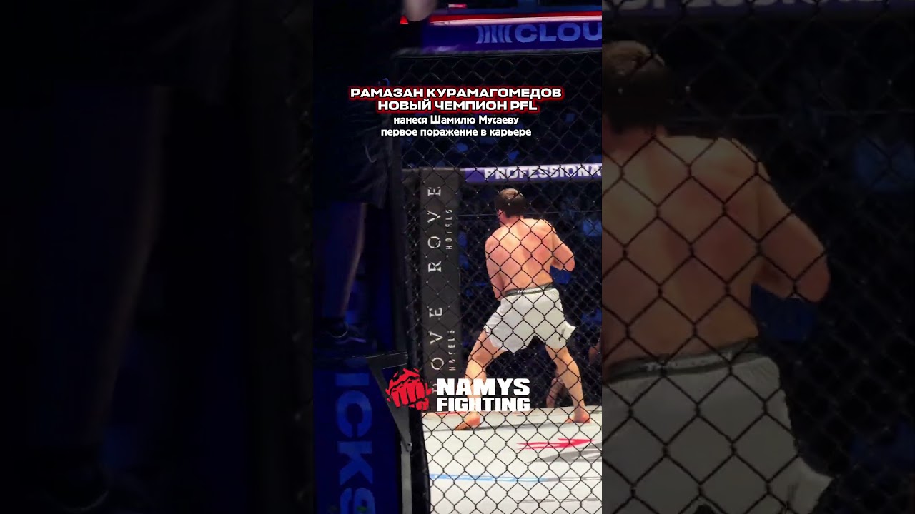 КУРАМАГОМЕДОВ НОВЫЙ ЧЕМПИОН PFL: победил Мусаева #mma