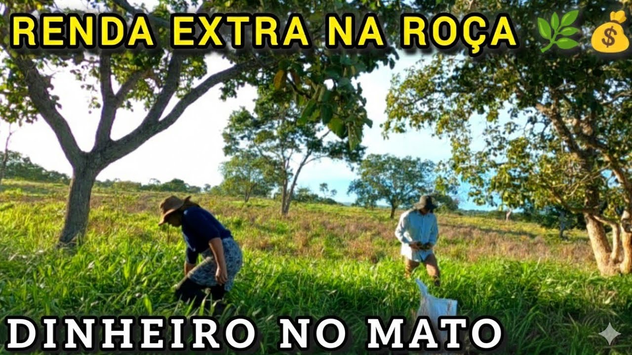Saímos às 5 da manhã e voltamos com dinheiro no bolso: Veja o que encontramos.