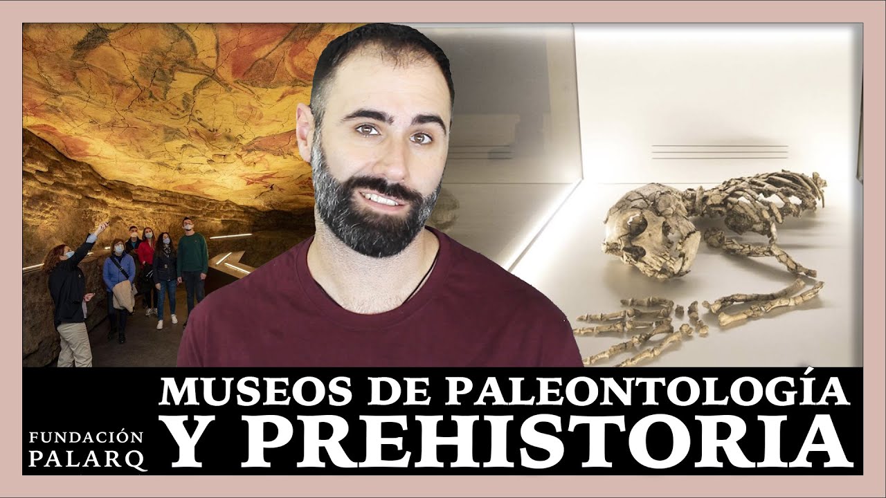 🏛️ Descubre los Museos de Paleontología y Prehistoria más Fascinantes de España 🦖