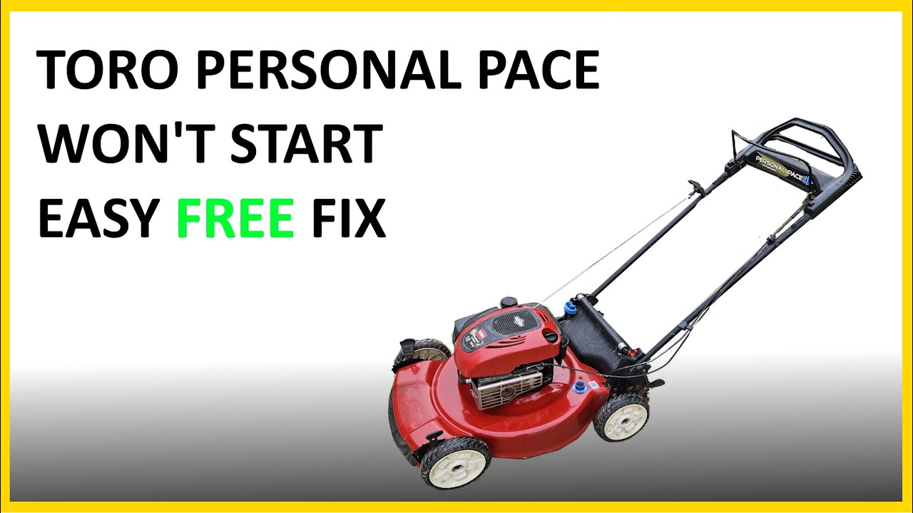 Toro Personal Pace carb rebuild - EASIER THAN YOU TINK