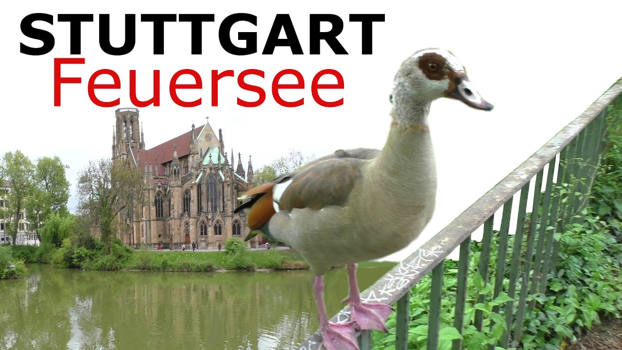 Expedition ins Tierreich - Feuersee Stuttgart - Expedition into the animal kingdom - Johanneskirche