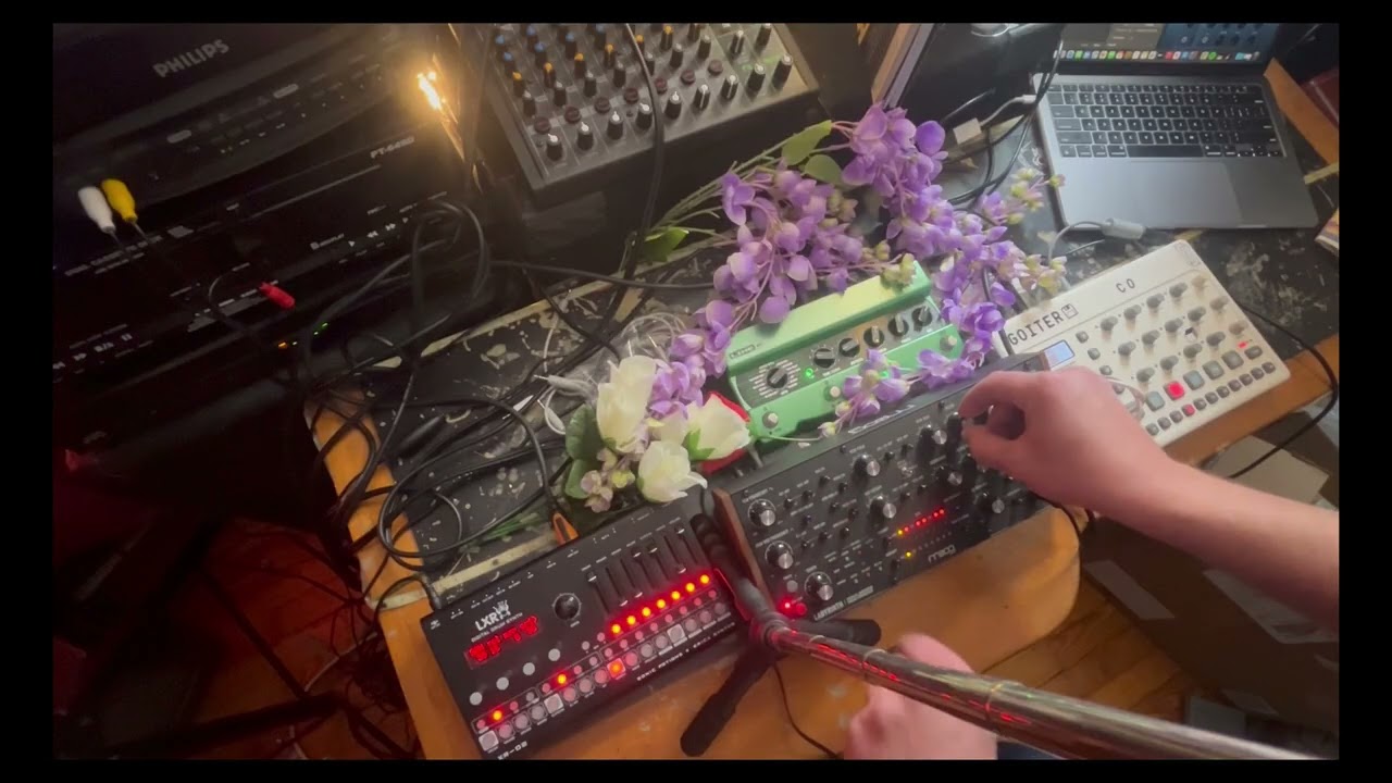 1.26.26 - moog labyrinth/LXR-02/elektron model:samples/DL4 mkII delay - improvised techno 