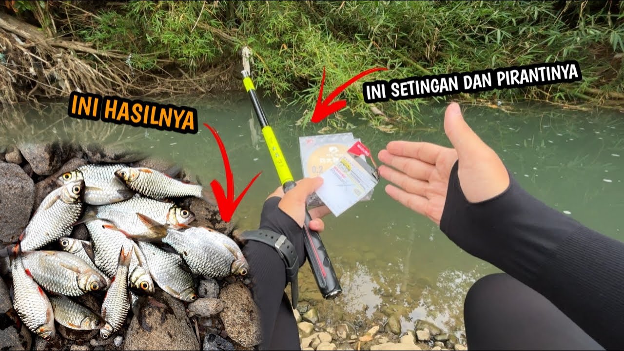 SALAH SATU TEKNIK PALING EFEKTIF MANCING WADER!! Mancing wader teknik seretan umpan rasbora jasuke x