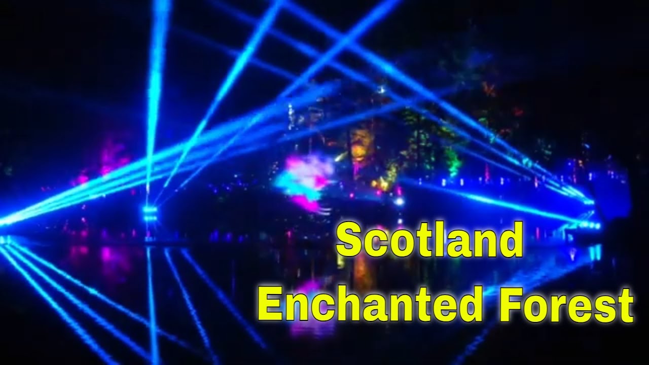 Scotland's Enchanted Forest