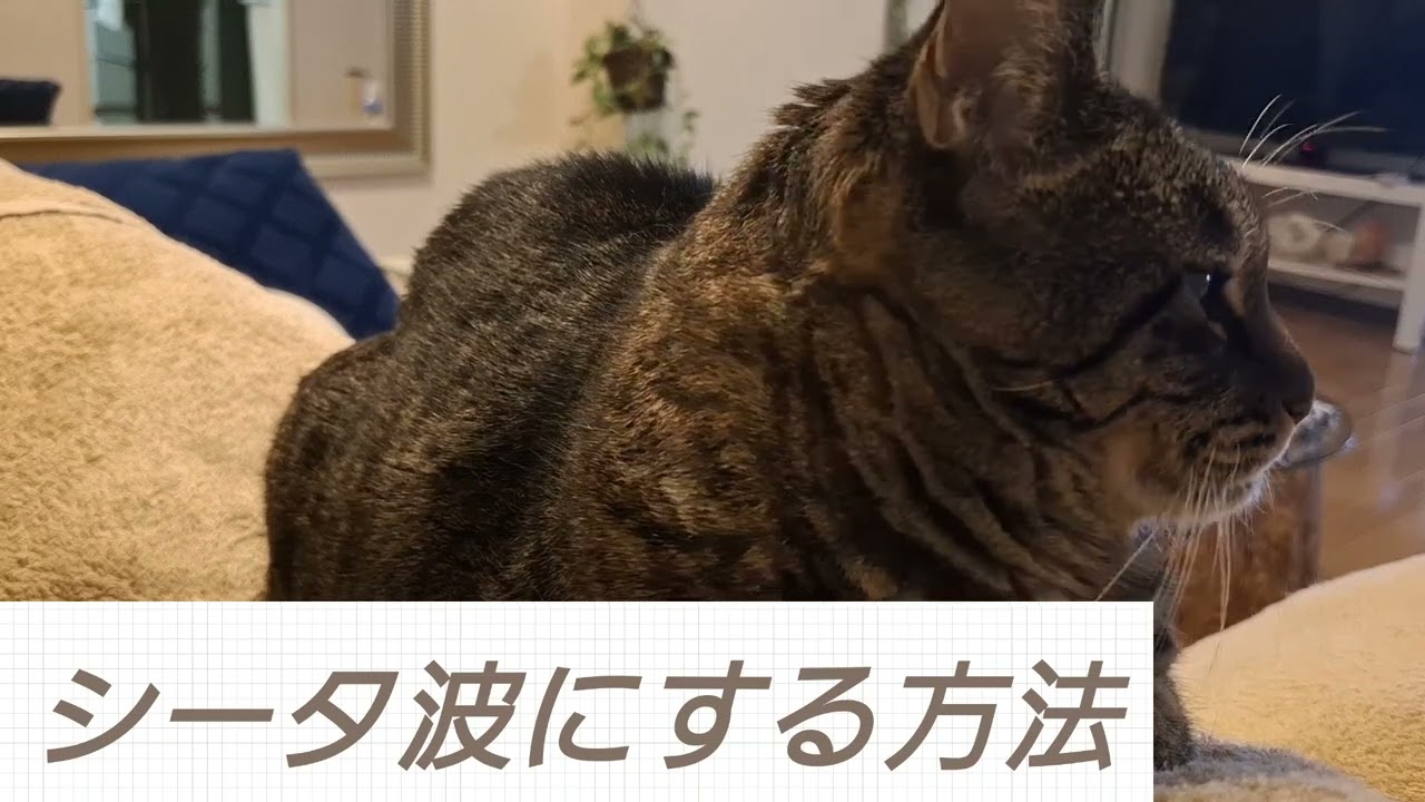 政木フーチに必須「シータ波」解説、腹式深呼吸だけじゃない！色んな方法教えます