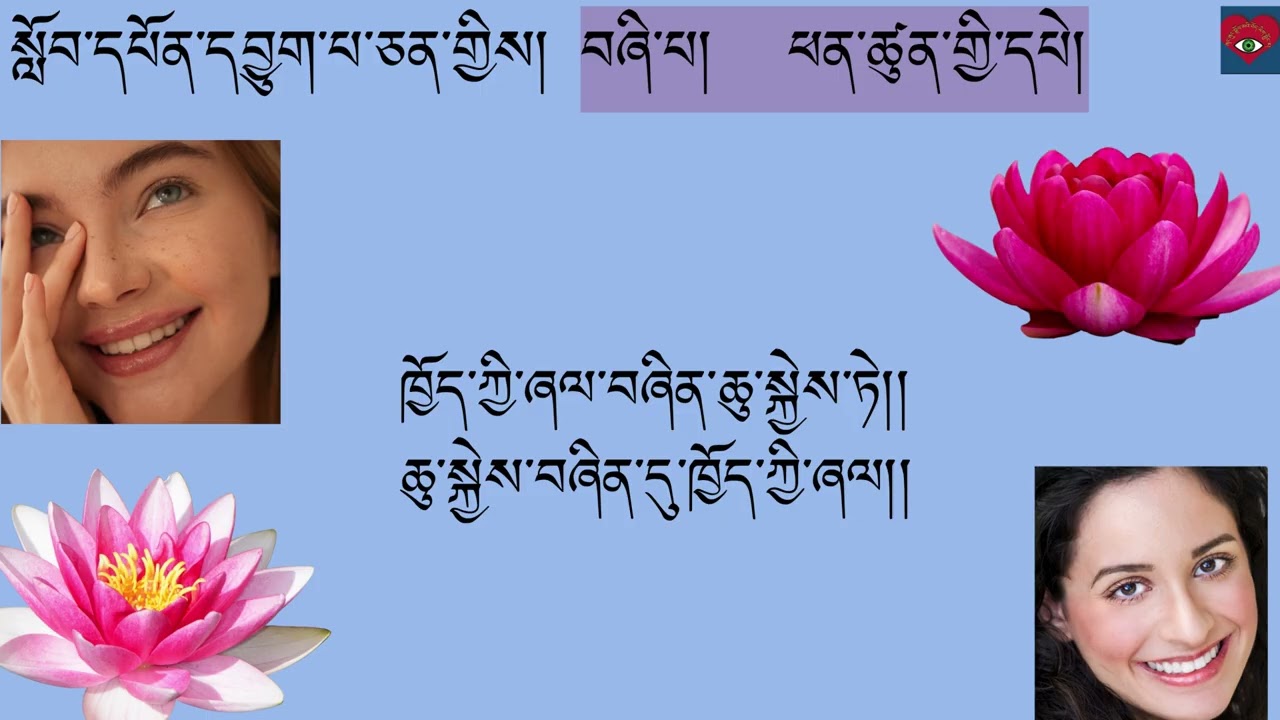 དཔེ་རྒྱན་སོ་གཉིས་ལས་གསུམ་པ་བཟློག་པའི་དཔེ་དང་། བཞི་པ་ཕན་ཚུན་གྱི་དཔེ།  ༼སྙན་ངག་མེ་ལོང་མ༽