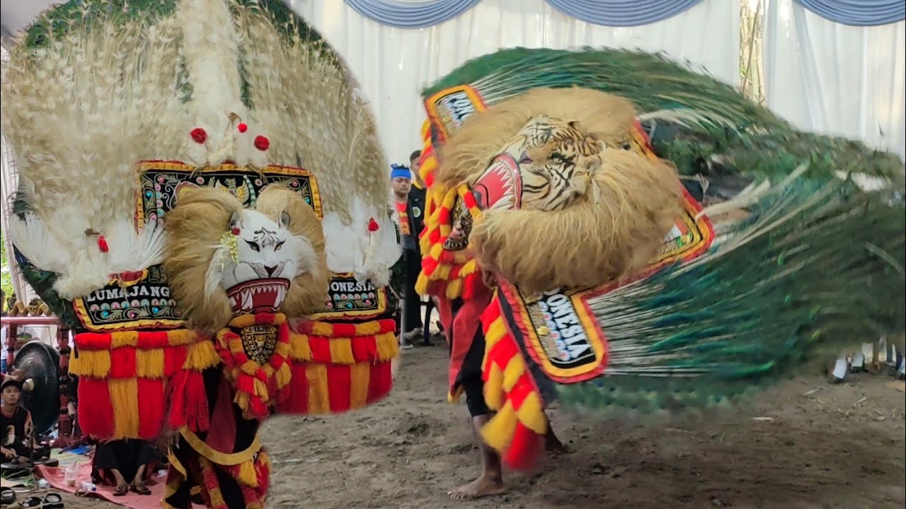 MERINDING❗PEMBARONG LEGEND REOG TERBESAR SINGO NGUMBORO LUMAJANG GEMPARKAN DESA JENANGAN PONOROGO