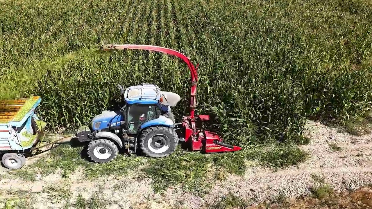 FIMAKS | BIGDRUM 2200 | 3 SIRA MISIR SİLAJ MAKİNESİ | 3 ROWS MAIZE CHOPPER