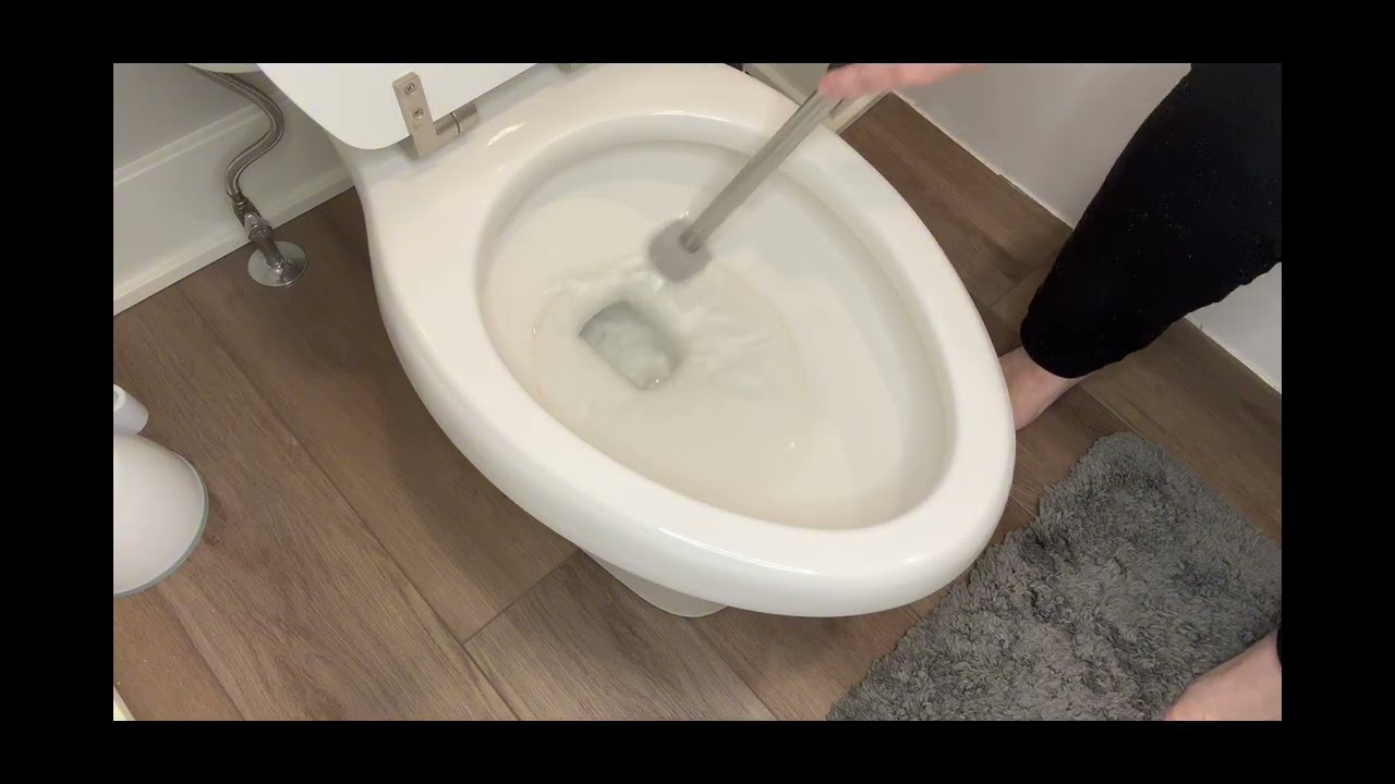Pumice Stone Toilet Bowl Cleaner