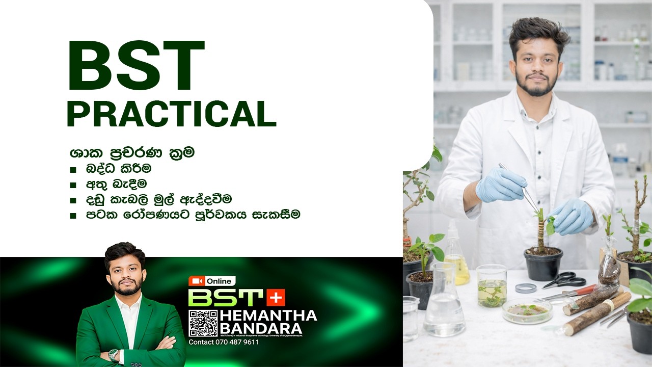 Methods of plant propagation | ශාක ප්‍රචරණ ක්‍රම P33,P34,P35,P36