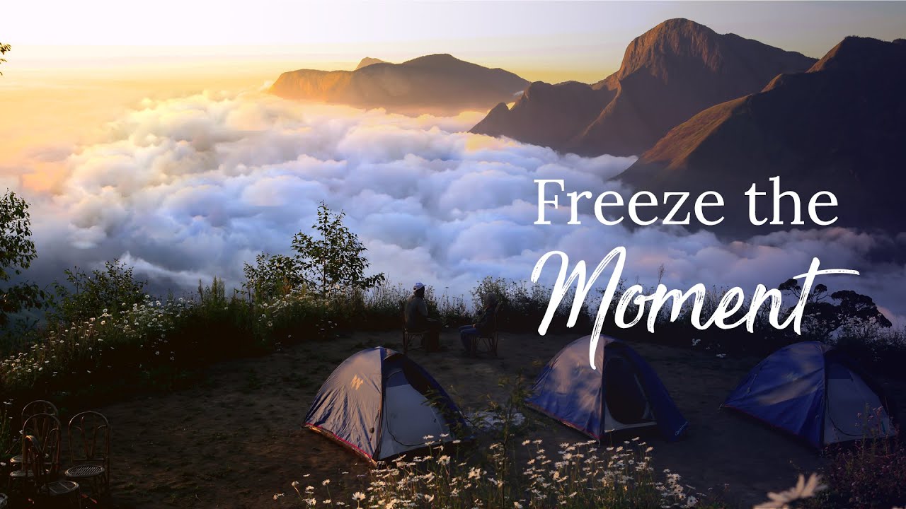 Camping in Munnar | 