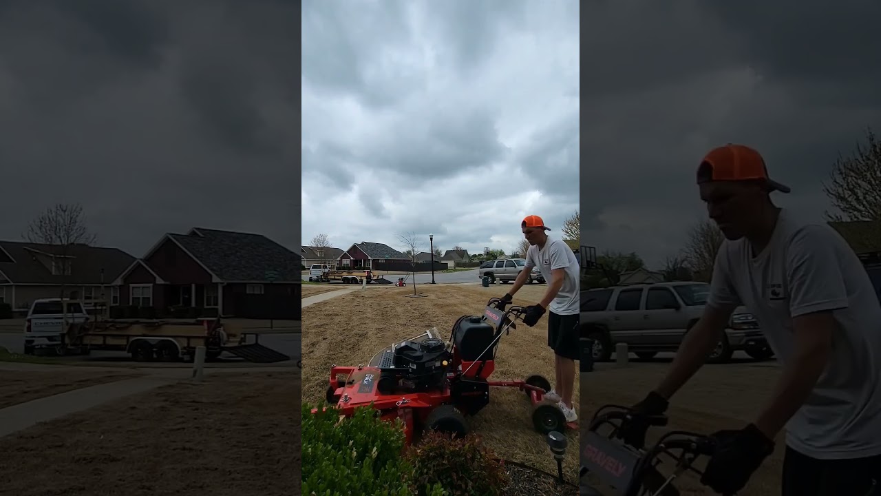 Dethatching - How To & Why It's Important!