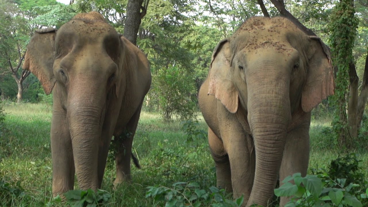 Somboon Legacy Foundation short documentary