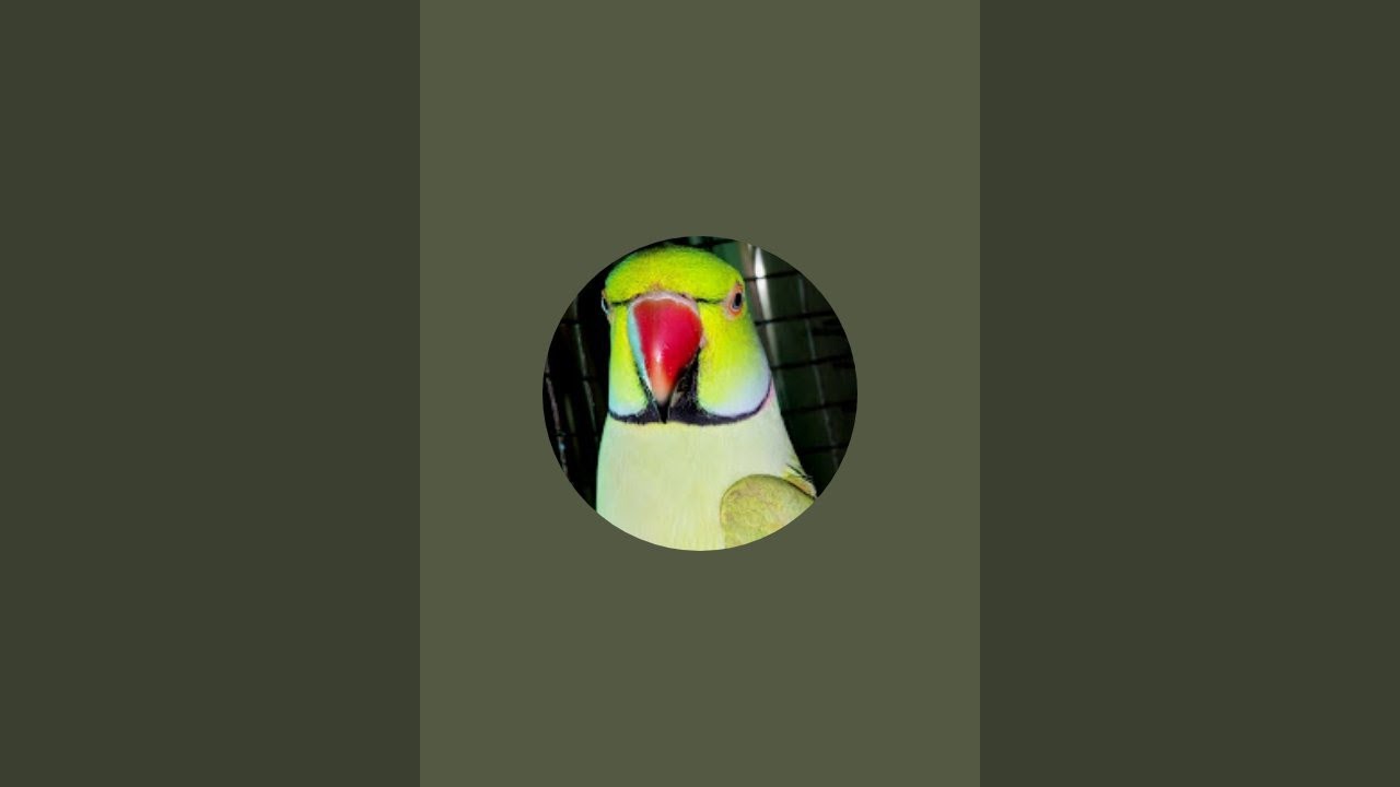_ANUSHKA_SONI🦜___ is live