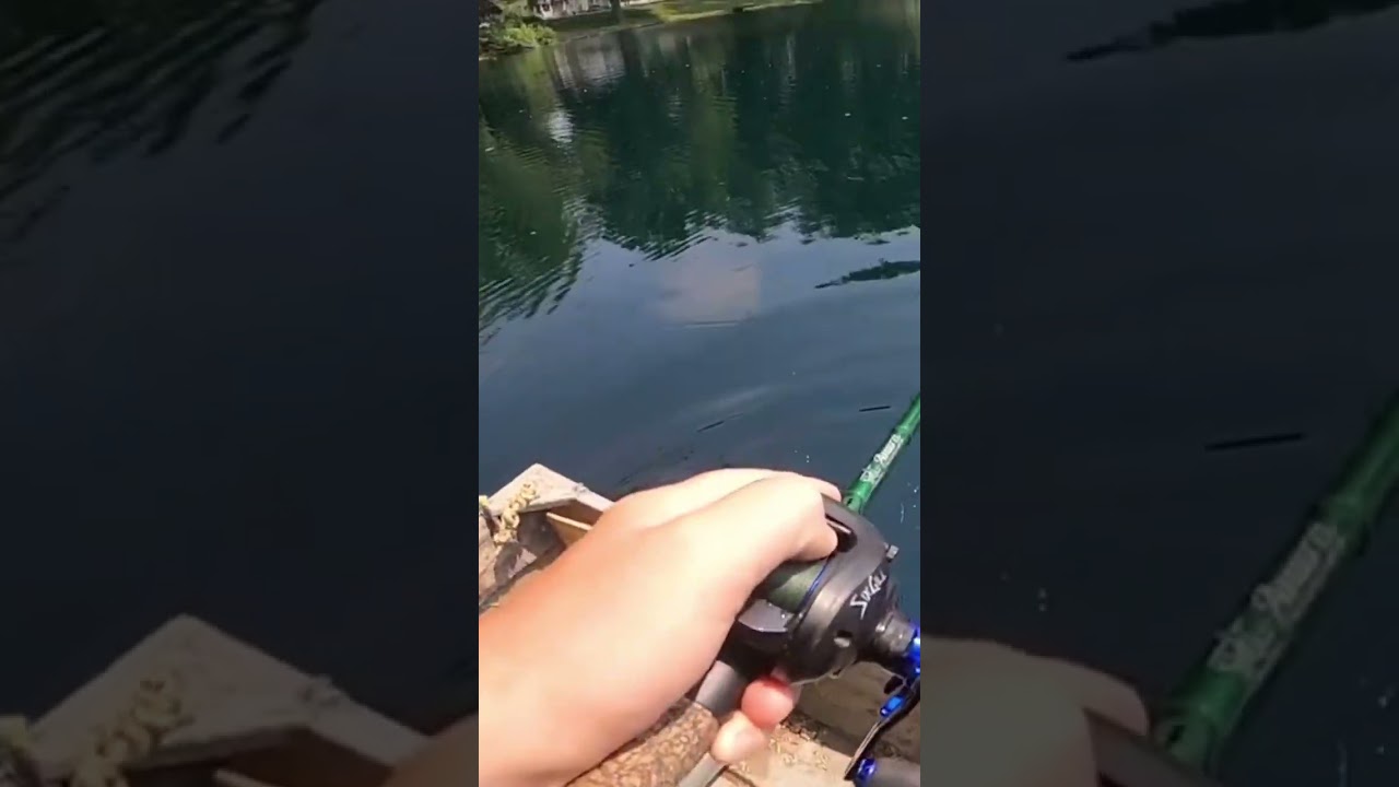 Frog bite #shorts #shortvideo #series #bassfishing #topwater #fun #fish #fishtv #bait #topwaterlure