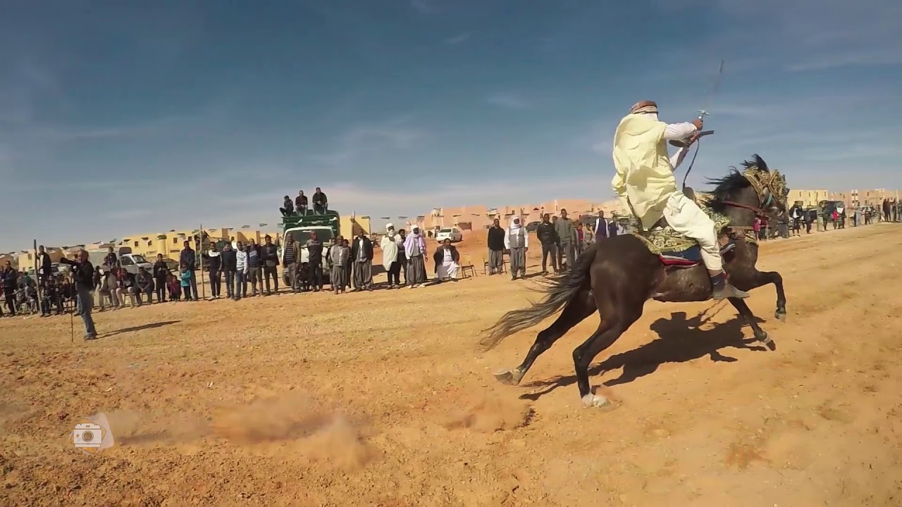 المهرجان الوطني للفروسية الطبعة الرابعة ببلدية أم الطيور 2020