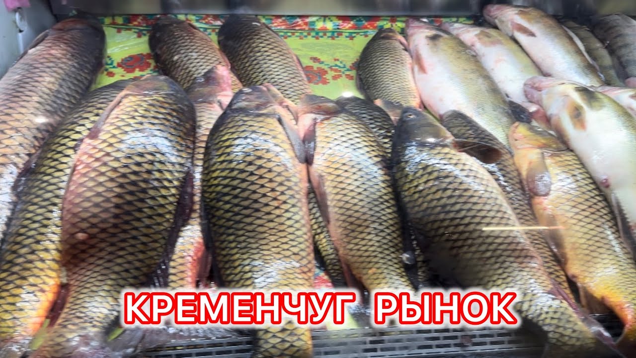 КРЕМЕНЧУГ// НЕ ОЖИДАЛИ ТАКИХ ЦЕН‼️ХОДИМ И УДИВЛЯЕМСЯ😇